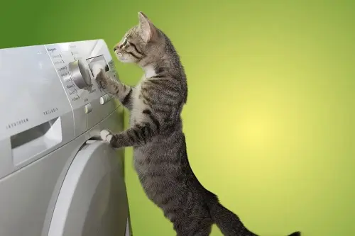 Dryer-Repair--in-Premont-Texas-dryer-repair-premont-texas.jpg-image