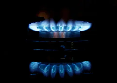 Thermador-Appliance-Repair--in-Mc-Leod-Texas-thermador-appliance-repair-mc-leod-texas.jpg-image